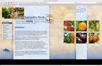 Vorschaubild der Website