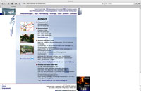 Vorschaubild der Website
